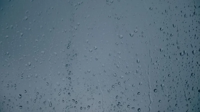 sway form #03 &#8211; in the rain 5